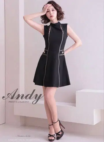 Andy 지퍼 드레스