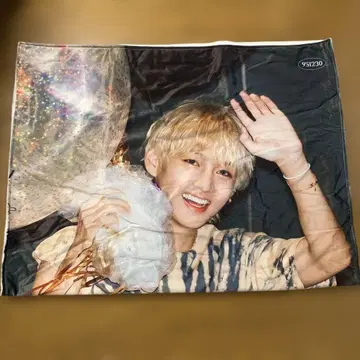 BTS 태현 V 마스터님 담요 누나비님 누나