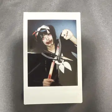 폴라로이드
