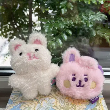 RAPANG 라팡 BT21 쿠키
