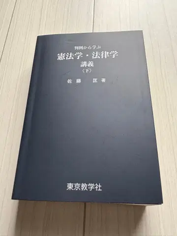 헌법학 법률학 강의 (하권)