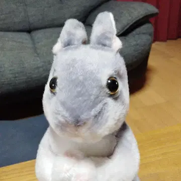 그레이 토끼 봉제 인형