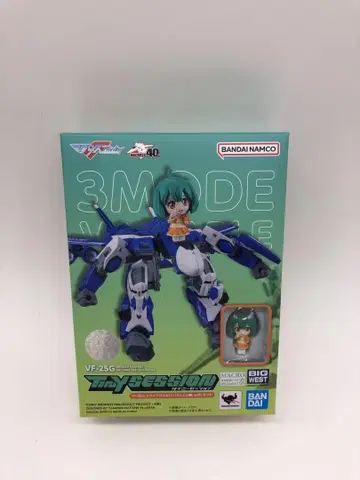 TINY SESSION VF-25G 메시아 발키리 with 란카