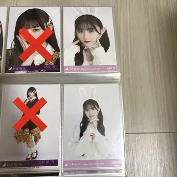 카와사키 사쿠라 2023 간지 브로마이드 세미 컴프