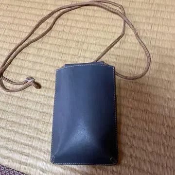 미니 사코슈