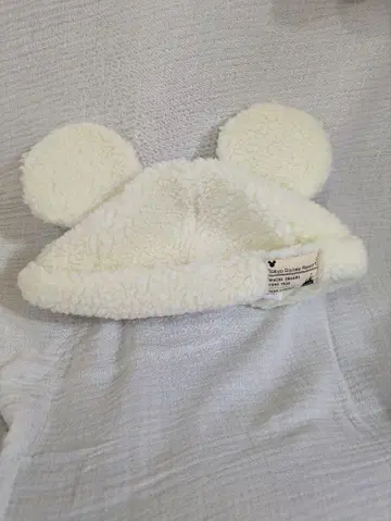 디즈니 팬캡