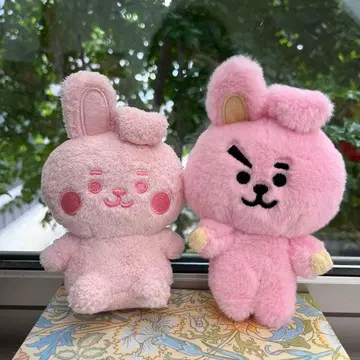 BT21 cooky 쿠키