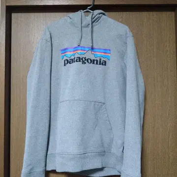 patagonia 그레이 남성용 후드티