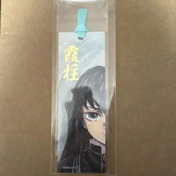 귀멸의 칼날 기둥전 북마커 토키토 무이치로