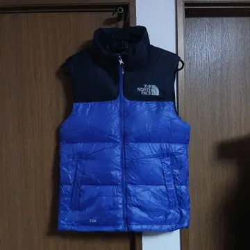 THE NORTH FACE 다운 베스트 눕시 700필