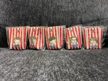 팝콘 곰 전 5종 세트 컴플리트 세트