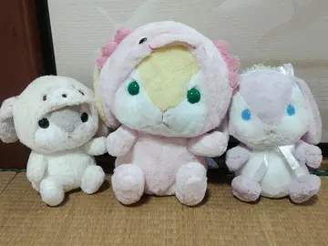 포테우사 롯삐 시리즈