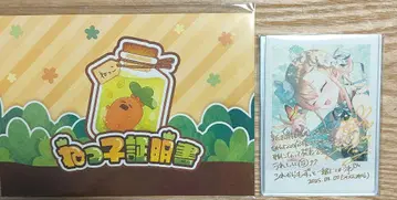 모모스즈 네네 친필 사인 인증서 넷코 네네치