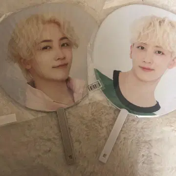 SEVENTEEN 정한 부채 세트