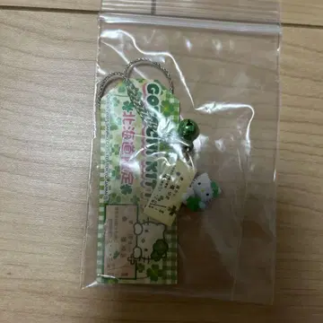 홋카이도 한정 키티 아이코쿠에서 코후행 티켓 키티 지역 한정 키티