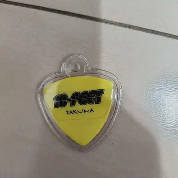 10-FEET 피크