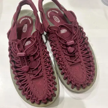 KEEN 버건디 38 24.5cm