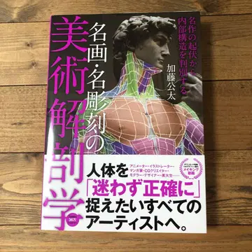 명화 명조각의 미술 해부학 : 명작의 굴곡에서 내부 구조를 판별하는