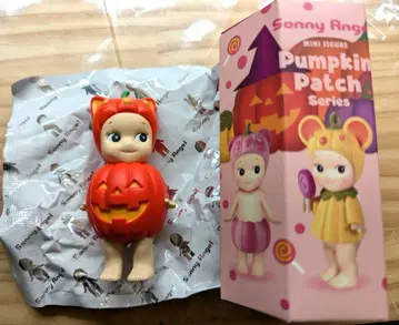 소니 엔젤 호박 패치 pumpkin patch 고양이 고양이 cat