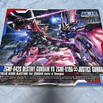 (미조립) HG 데스티니 건담 VS 인피니트 저스티스 건담