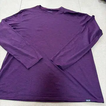 patagonia Capilene Cool Daily L 퍼플