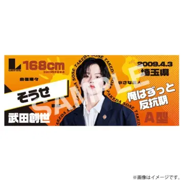 Lienel 타케다 소세이 Miracle 타월