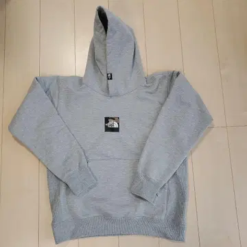 THE NORTH FACE 후드티 그레이