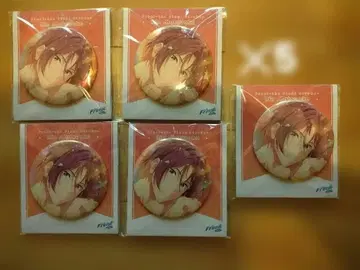 Free!FS Sparkle 오로라 빅 캔뱃지 5 마츠오카 린