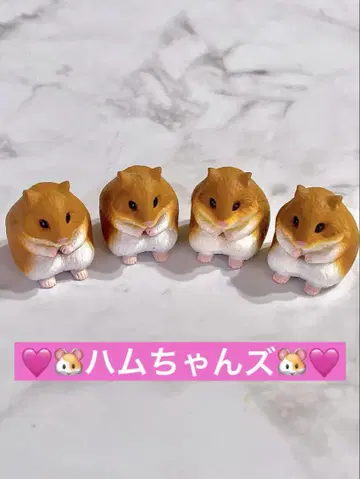 기다림 12 골든햄스터 애니멀 마스코트 피규어 4마리 세트