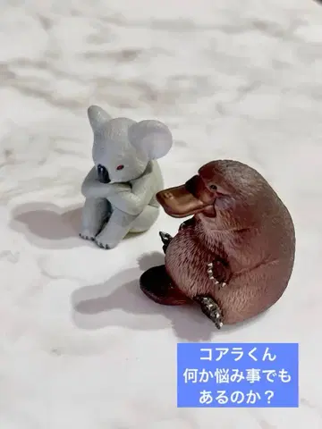 카모노하시 코알라 리벤 스튜디오 애니멀 마스코트 피규어 2개 세트