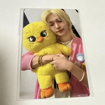 트레이딩 카드만 스키즈 틴 케이스 트레이딩 카드 필릭스