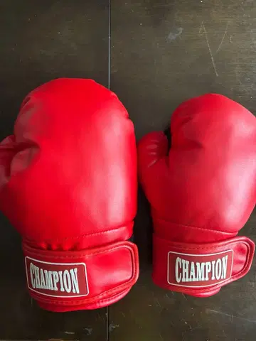 CHAMPION 복싱 그로브 스타일 골프헤드커버