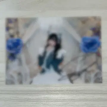 Ill  보라색 생일 축제 2025 사인 포함 브로마이드