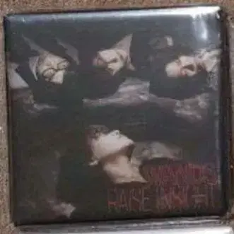 WANDS RAISE INSIGHT 마그넷