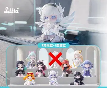 Liita TNTSPACE 컴프 덤 포함