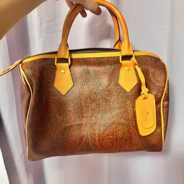 ETRO 에트로 미니 보스턴 백 페이즐리 무늬 PVC 가죽