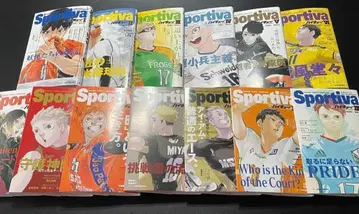 하이큐!! 쇼세츠반!! Sportiva 콜라보 오비 전 13권분