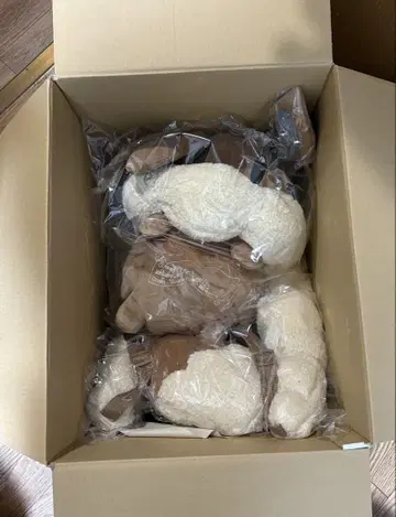 이브이 백팩 (새상품)