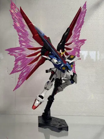 RG 1/144 데스티니 건담 [티타늄 피니쉬] + '빛의 날개'