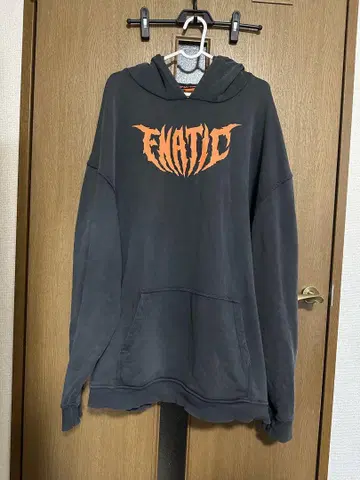 FNATIC ALGS 2025 후드티