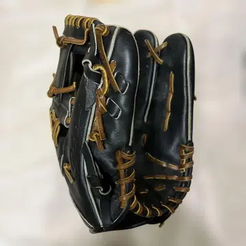 미즈노 프로 그로브