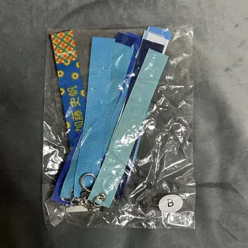 카토 시호 본 핀 키링 typeB