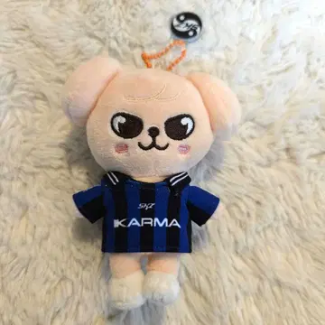 KARMA skzoo straykids 키링 승민 PuppyM