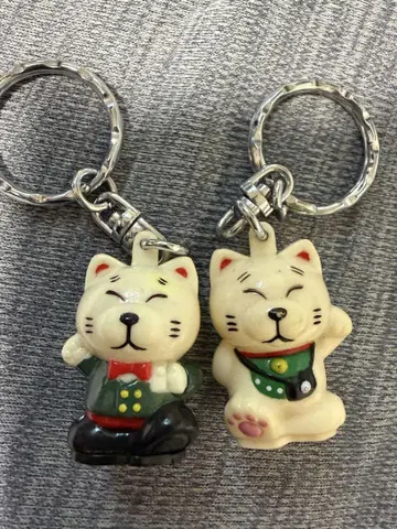후지 컬러 키링 2개 세트