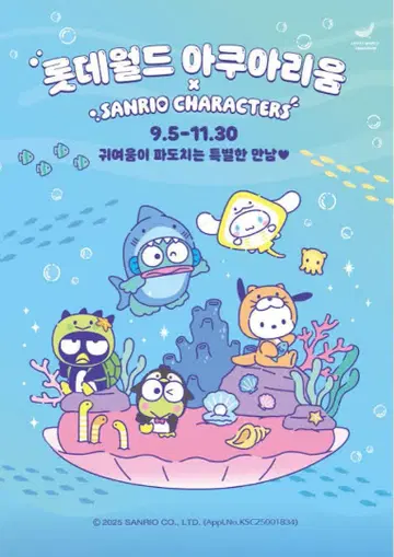 한국 한정 Sanrio 시나모롤 핀 배지