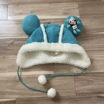 디즈니 팬캡