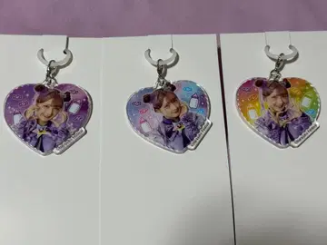 시나코 메지루시 참