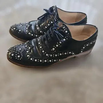 패턴트 레더 레이스업 슈즈 여성용 37(24cm) 다크 네이비