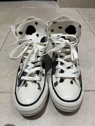 converse ALL STAR COWSPOT HI 22.5cm