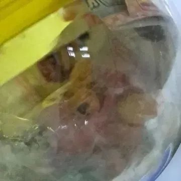 레트로 바보와 시험과 소환수 캡슐 토이